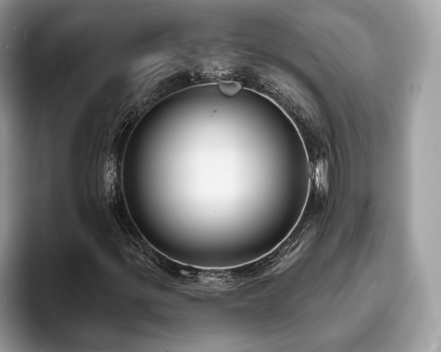 X0000094071299200710191112