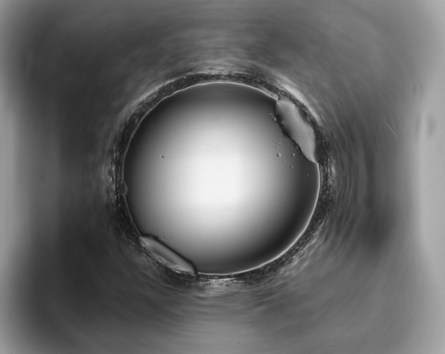 X0000094071304200710191112