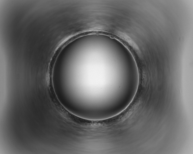 X0000094071316200710191112