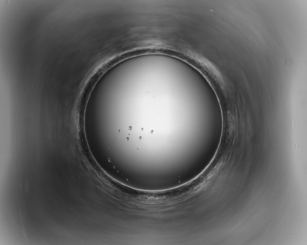 X0000094071318200710191112