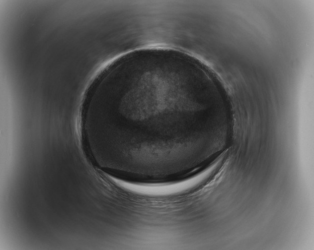 X0000094071319200710191112