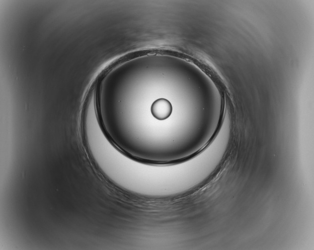 X0000094071320200710191112