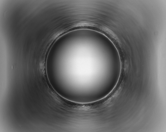 X0000094071321200710191112