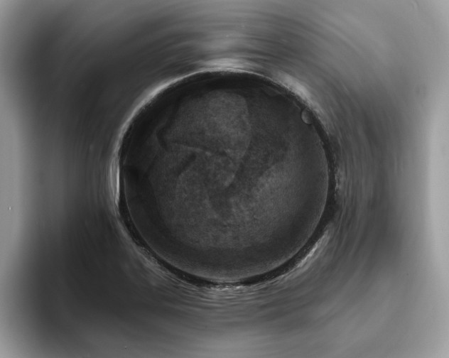 X0000094071323200710191112