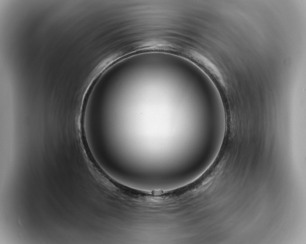 X0000094071330200710191112