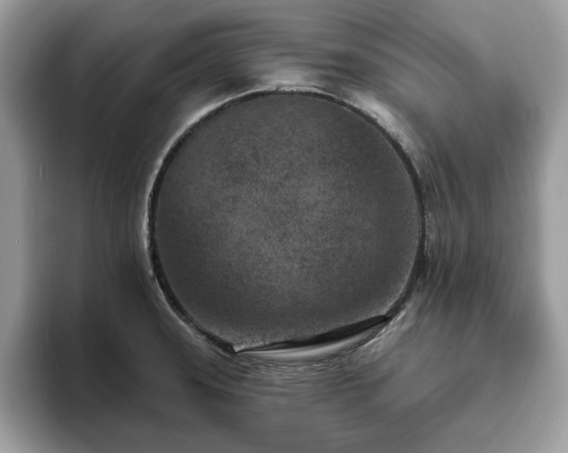 X0000094071331200710191112