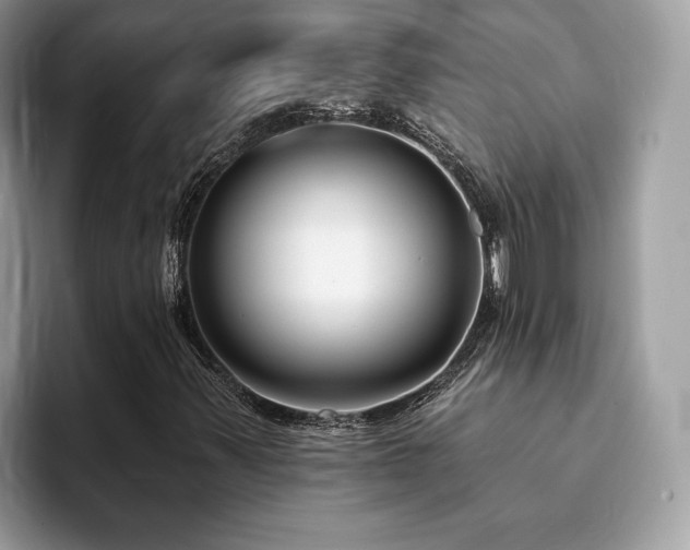 X0000094071347200710191112