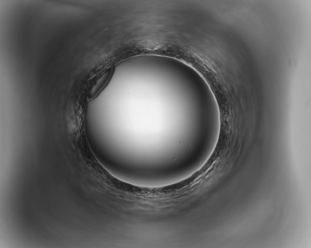 X0000094071349200710191112