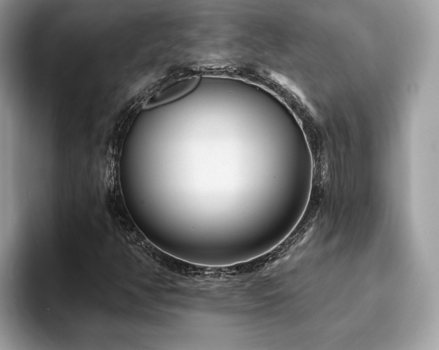 X0000094071350200710191112