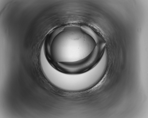 X0000094071353200710191112