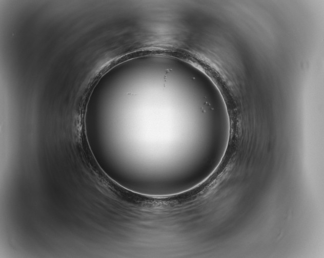 X0000094071355200710191112