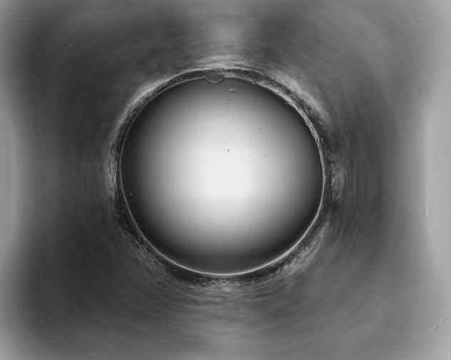 X0000094071358200710191112