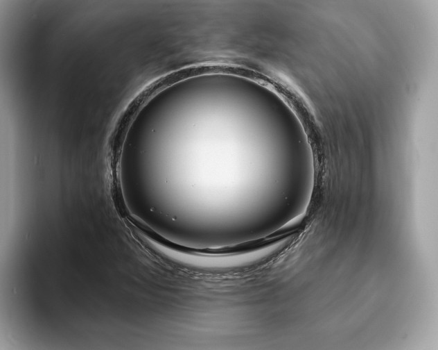X0000094071360200710191112