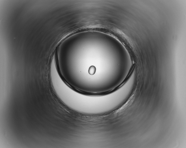 X0000094071361200710191112