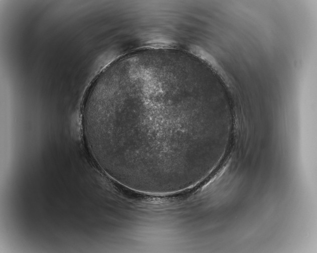 X0000094071362200710191112