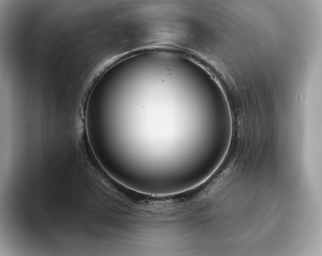 X0000094071363200710191112