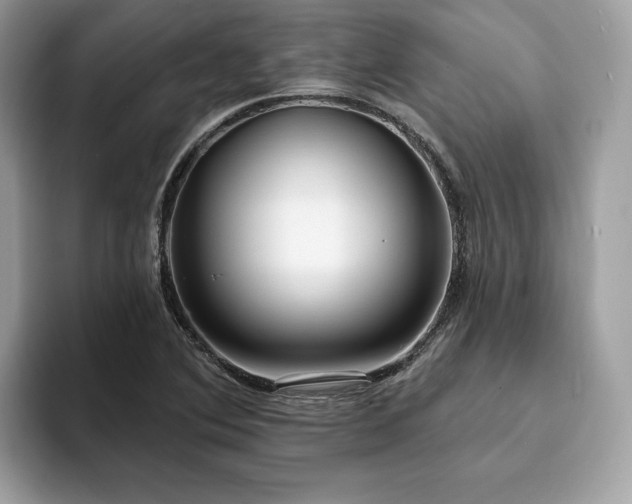 X0000094071364200710191112