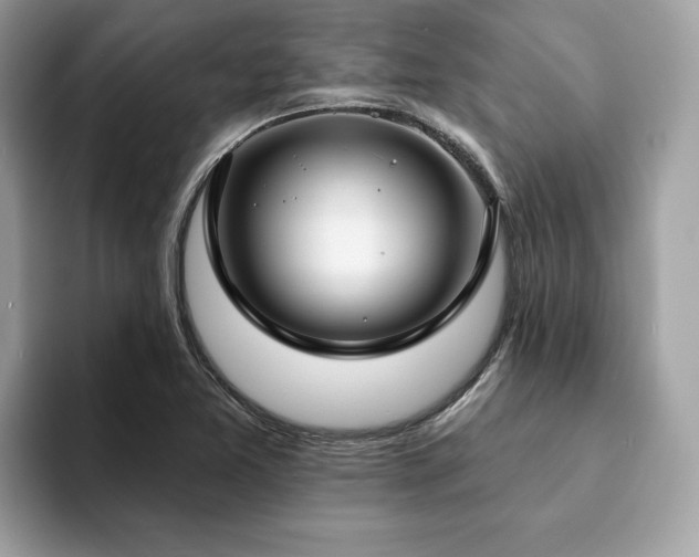 X0000094071365200710191112