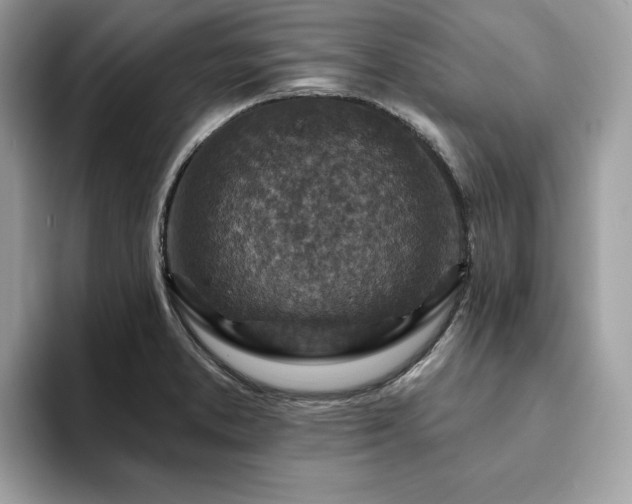X0000094071373200710191112