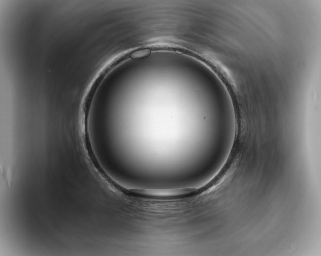 X0000094071376200710191112