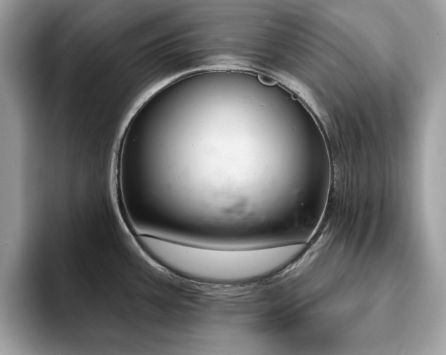 X0000094071387200710191112