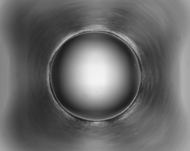 X0000094071390200710191112