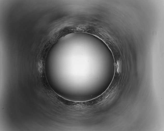 X0000094071395200710191111