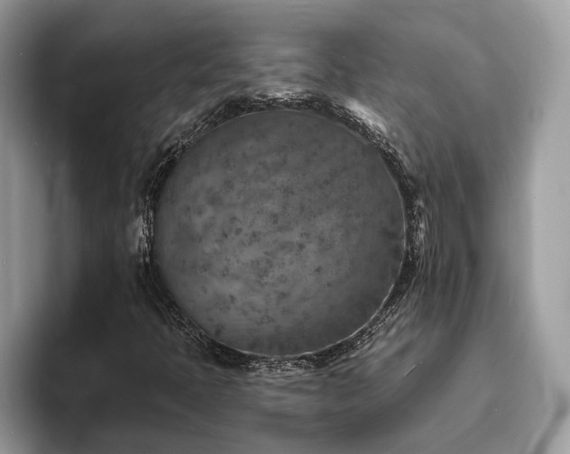 X0000094071397200710191111