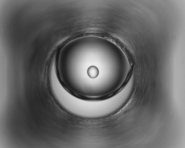 X0000094071402200710191111