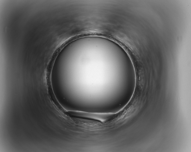 X0000094071404200710191111