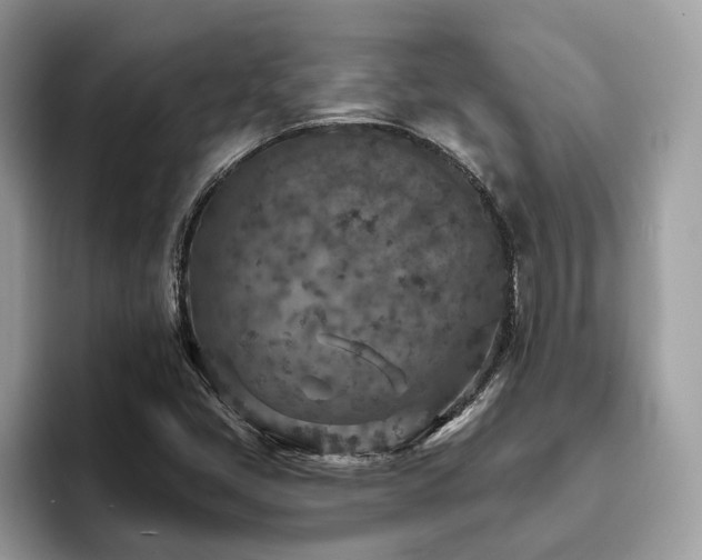 X0000094071405200710191111