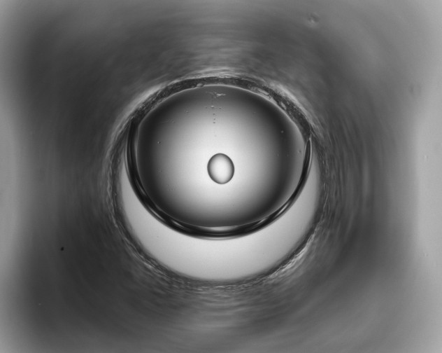X0000094071406200710191111