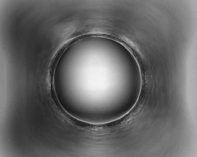 X0000094071408200710191111