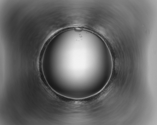 X0000094071412200710191111
