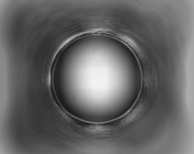 X0000094071420200710191111
