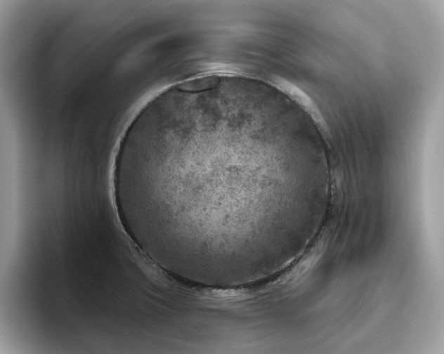 X0000094071427200710191111