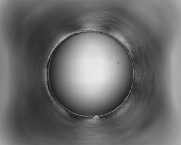 X0000094071431200710191111