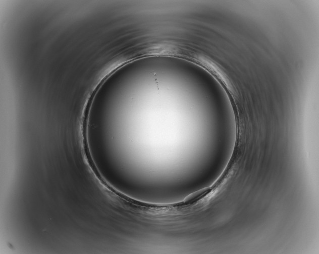 X0000094071434200710191111