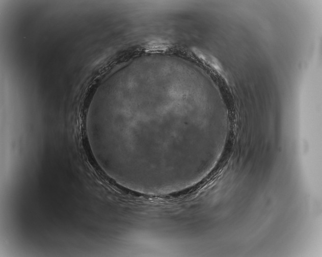X0000094071445200710191111
