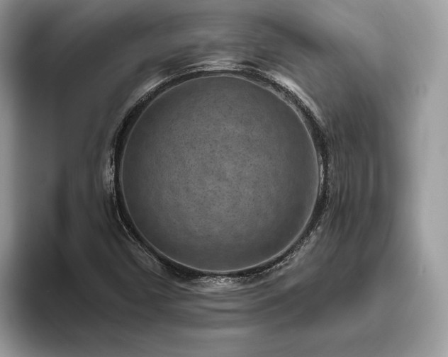 X0000094071450200710191111