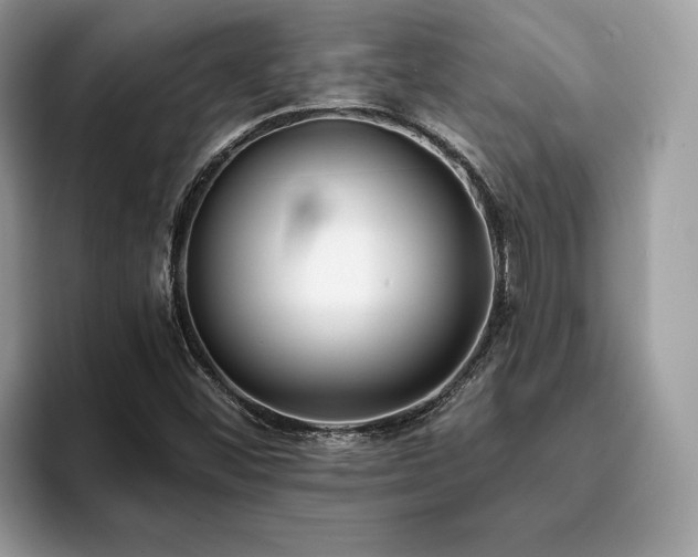 X0000094071452200710191111
