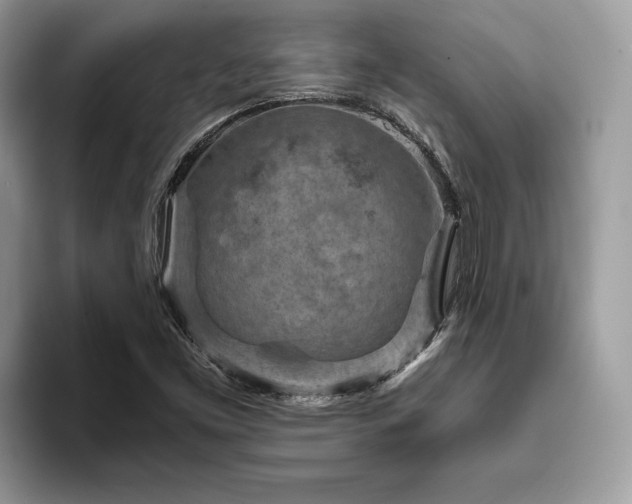 X0000094071453200710191111