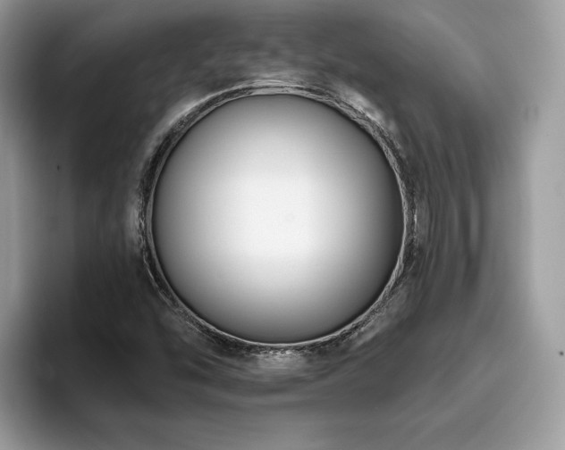 X0000094071454200710191111