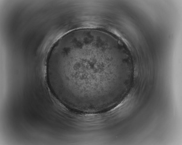 X0000094071459200710191111