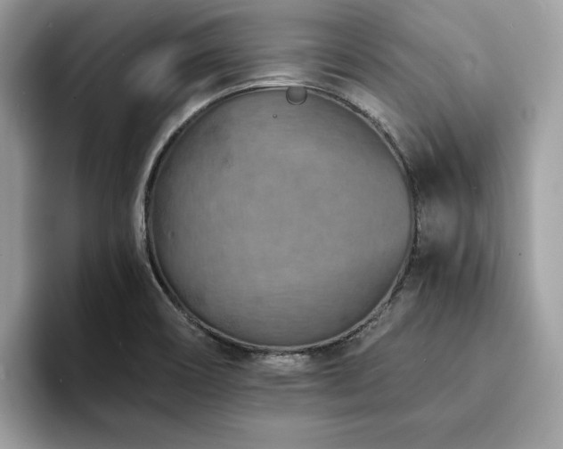 X0000094071466200710191111