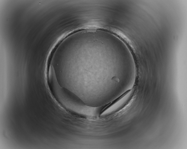 X0000094071469200710191111