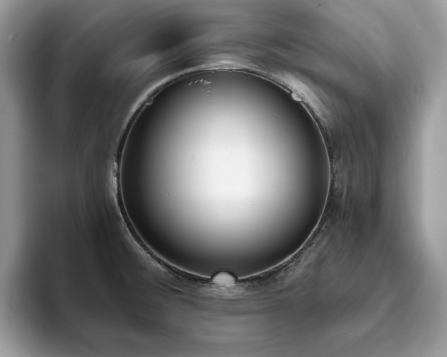 X0000094071476200710191111