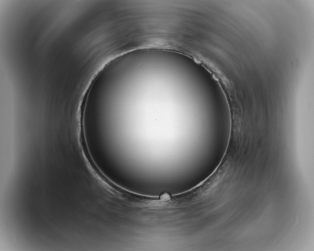 X0000094071479200710191110