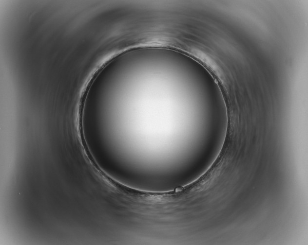 X0000094071480200710191110