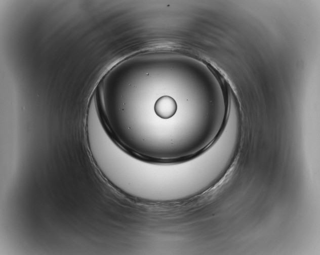X0000094071481200710191110